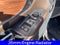 2027 Ford Expedition Max King Ranch