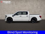 2025 Ford F-150 STX LOBO