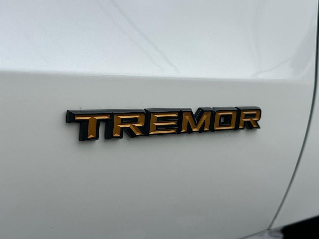 2025 Ford Expedition Tremor 4WD