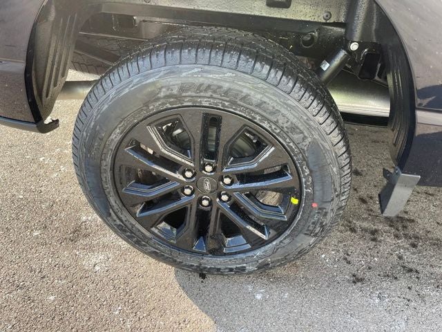 2025 Ford F-150 XLT FX4