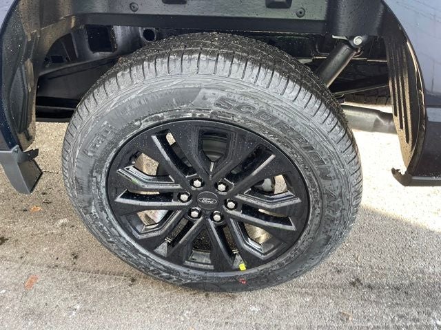 2025 Ford F-150 XLT FX4