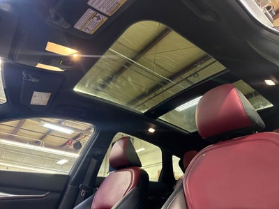 2023 INFINITI QX50 SPORT